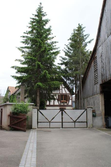 Spacieux Duplex 1 A 6 Personnes Ebersheim Esterno foto